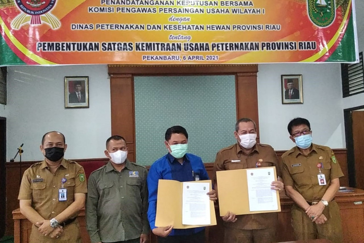 KPPU Kanwil I Medan Tegaskan Awasi Kemitraan Sektor Peternakan di Provinsi Riau