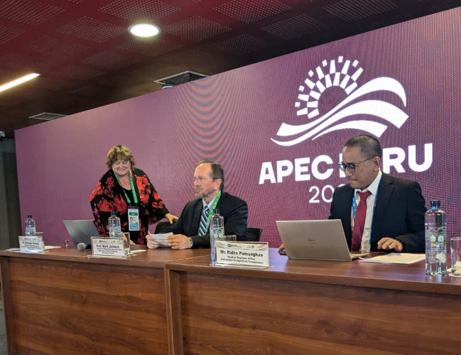 KPPU Berbagi Pengalaman Indonesia dalam Penerapan Regulasi Sektor Ketenagalistrikan di APEC Peru 2024